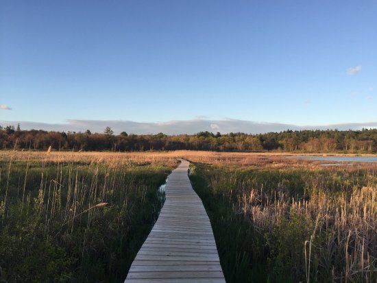 White Memorial Conservation Center