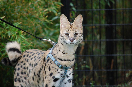 Tanganyika Wildlife Park