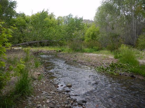 Mimbres River Preserve