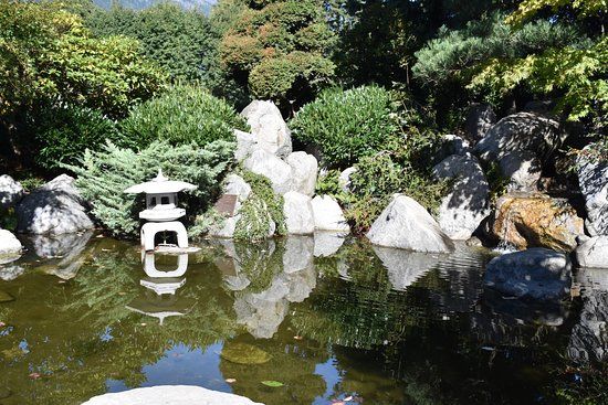 Hope Friendship Garden