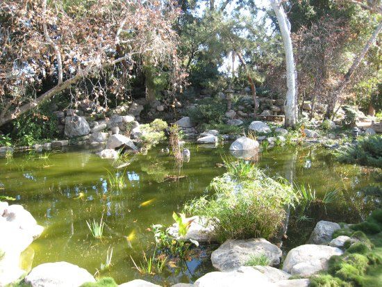 Storrier Stearns Japanese Garden