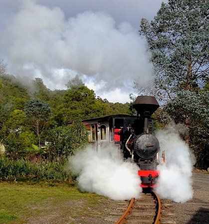 Wee Georgie Wood Steam Railway