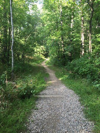 Bald Mountain State Recreation Area