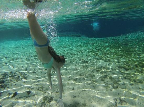 Fanning Springs State Park