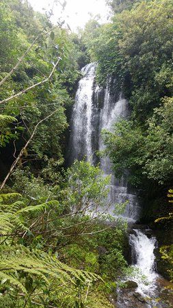Waitanguru Falls