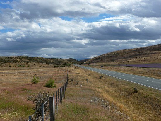 New Zealand Alpine Lavender Farm