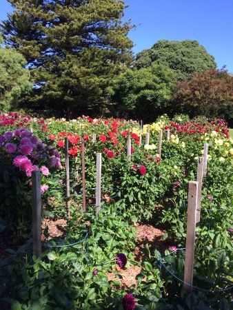 Portland Botanical Gardens