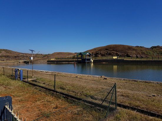 Jarain Pitcher Plant Lake