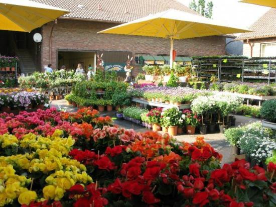 Erlebnisbauernhof Gertrudenhof