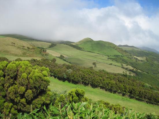 Reserva Florestal de Recreo de Macelas