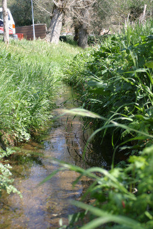 Parque Natural da Serra de Sao Mamede