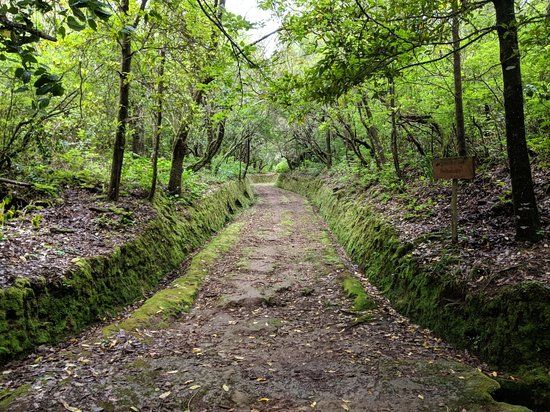 Levada Caldeirao Verde