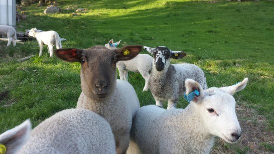 Fosseheimen Naturpark