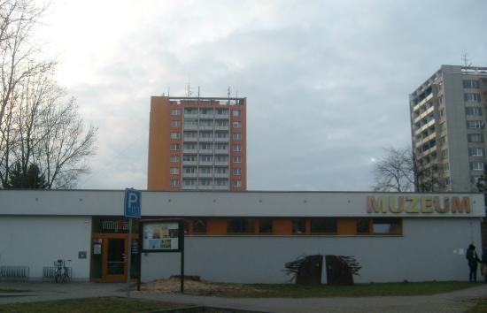 Muzeum miejskie i galeria