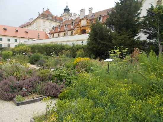 Tiree Chmelar Herb Garden