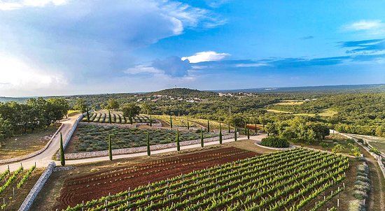 Park Histria Aromatica