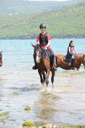 Konjicki Klub Capall Hrboki