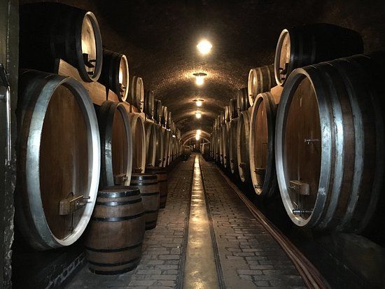 Old Wine Cellars