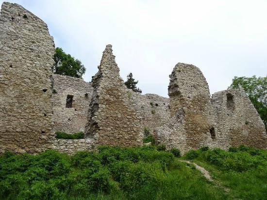 Castle Ruins in Bydlin