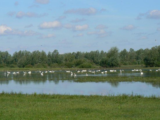 Park Narodowy Ujście Warty