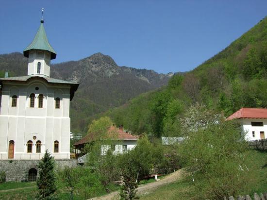 Turnu Monastery