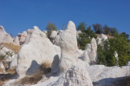 The Petrified Wedding