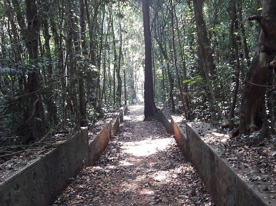 Iringole Forest Temple