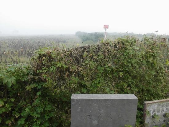 Luoyang Ruins of Han and Wei Dynasty