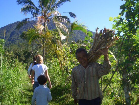 The Organic Farm & Cafe Bali