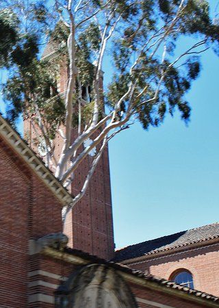 USC Fisher Museum of Art