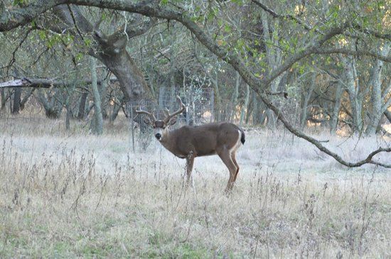 Effie Yeaw Nature Center