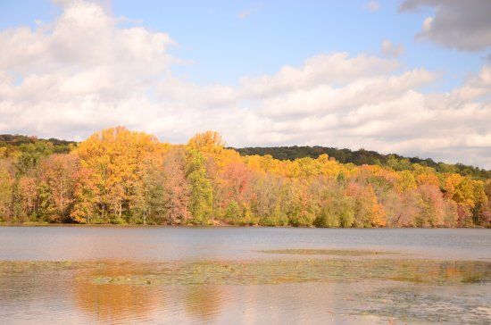 French Creek State Park