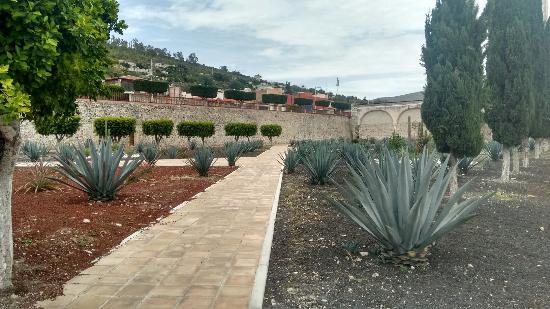 Ex Convento Franciscano