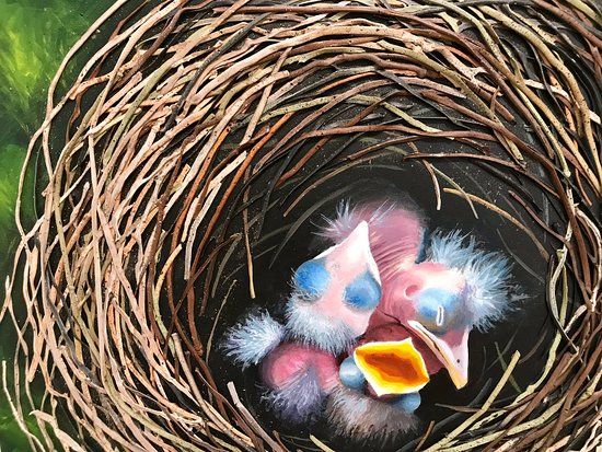 The Artery Fine Art & Fine Craft Gallery