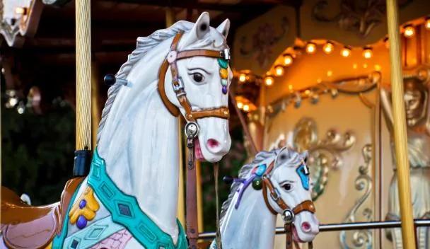 Dutch Wonderland