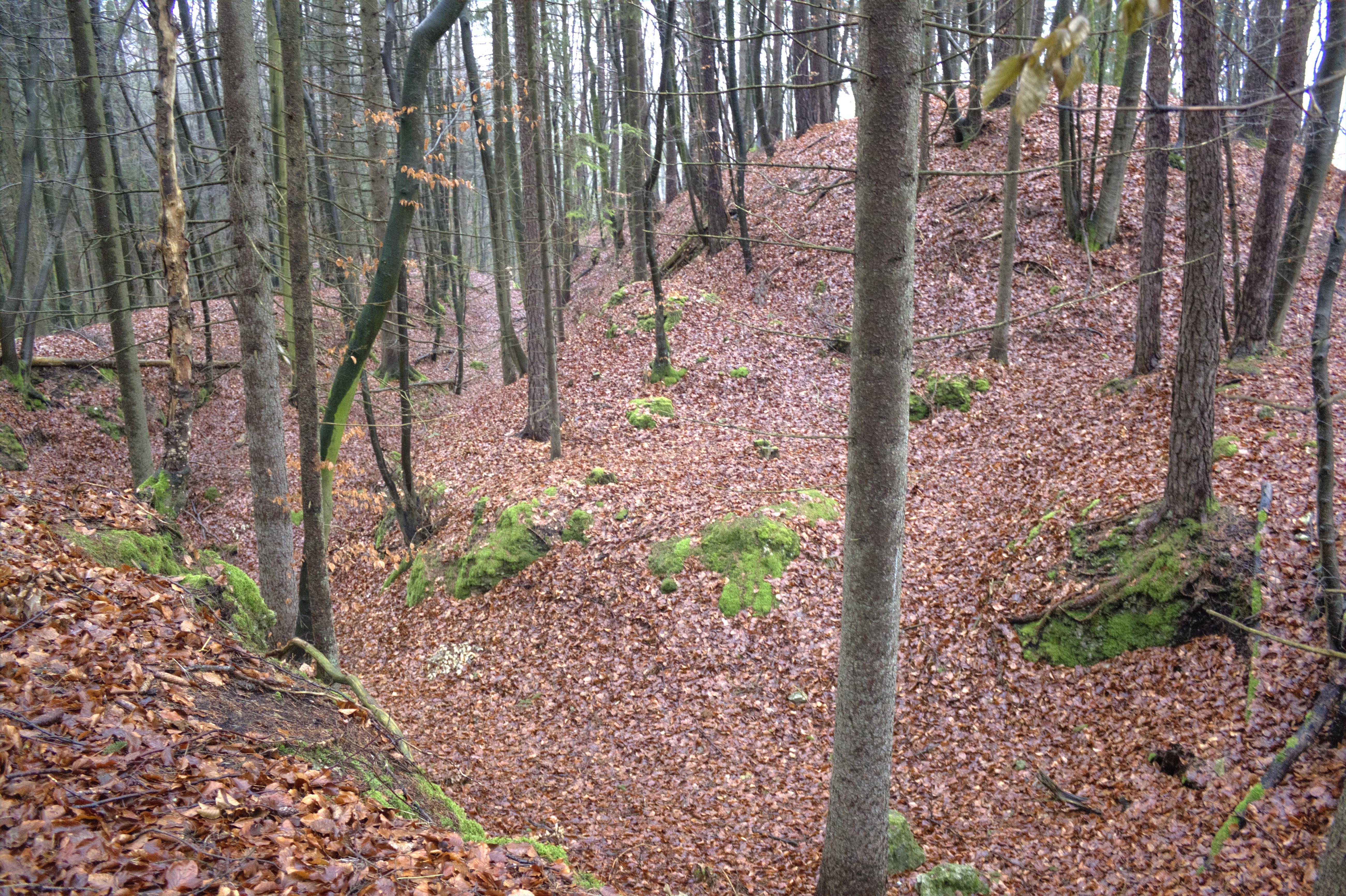 Burgstall Heideknock