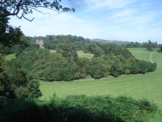 Dinefwr Park National Nature Reserve