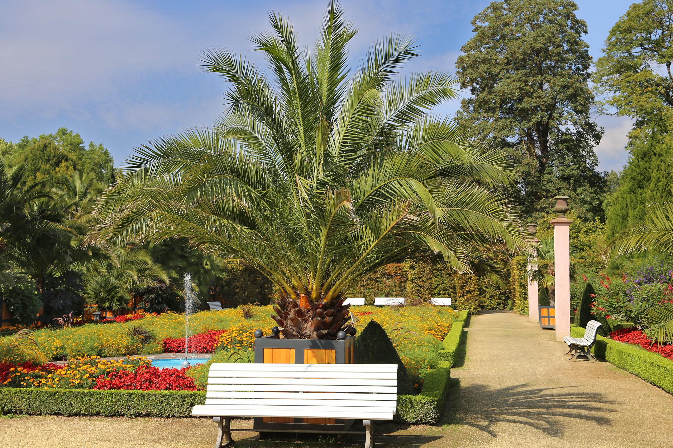 Palmengarten