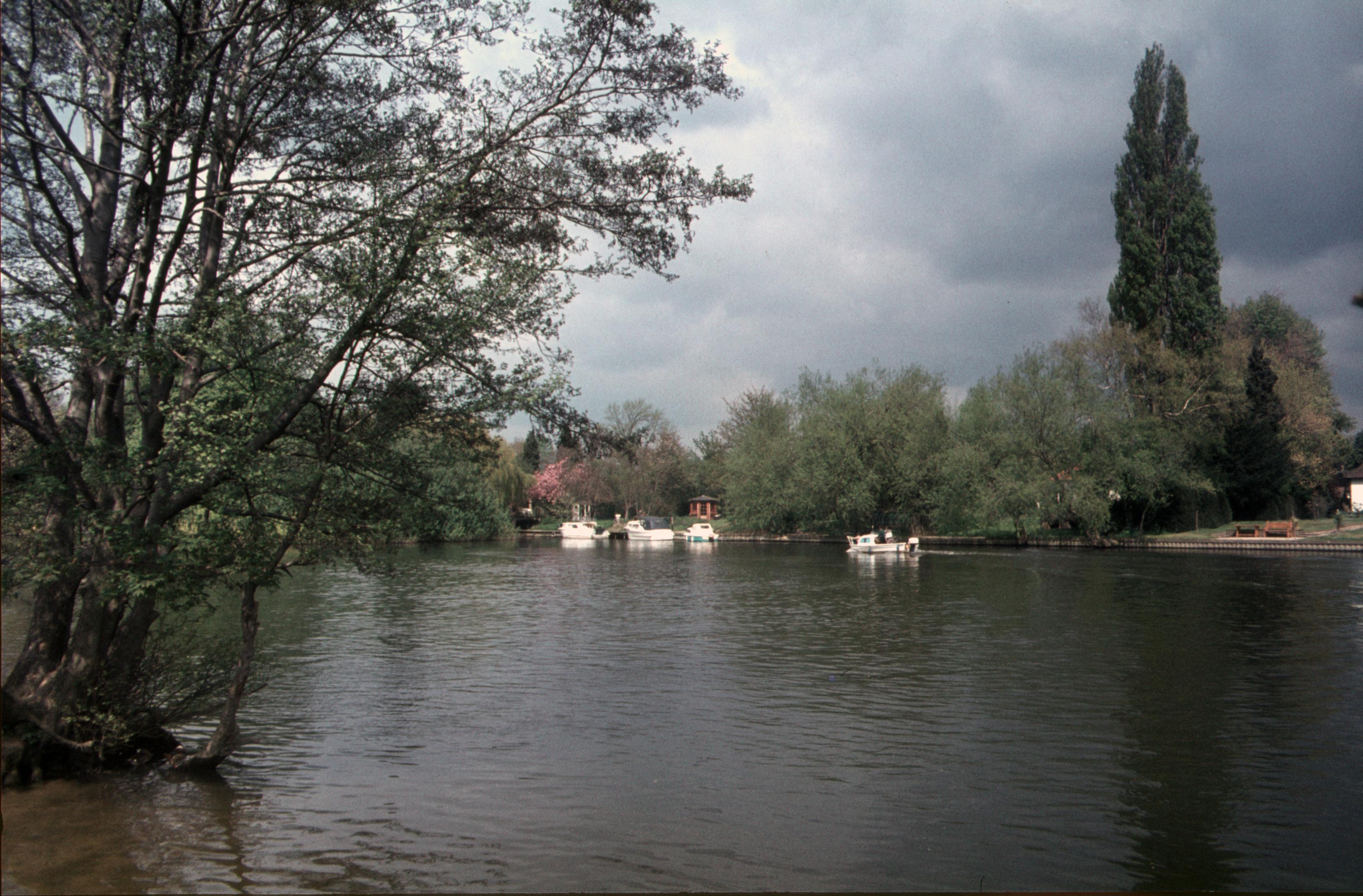 Magna Carta Island