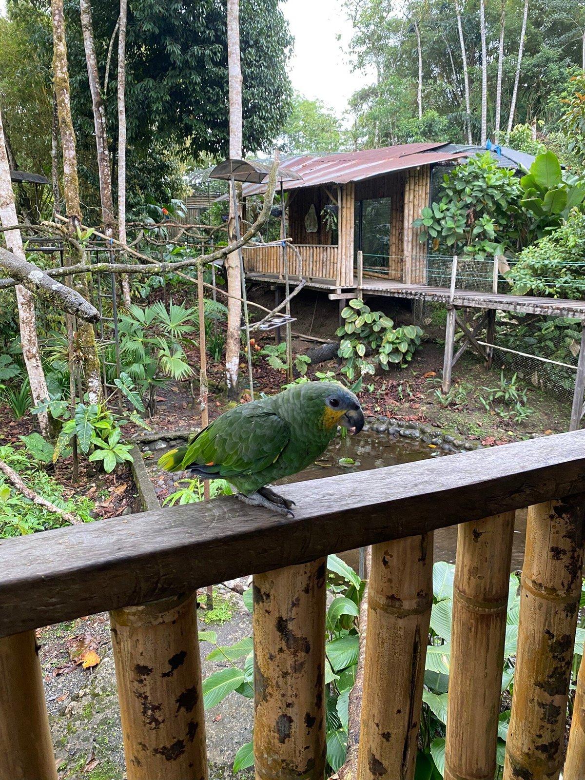 Bioparque Yana Cocha