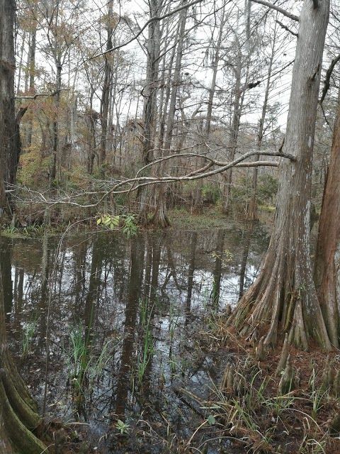 Northlake Nature Center