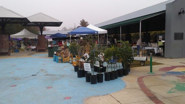 Mandeville Trailhead