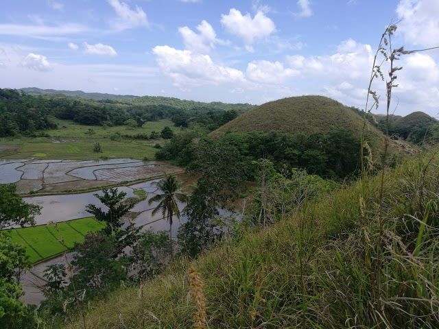 Chocolate Hills Adventure Park