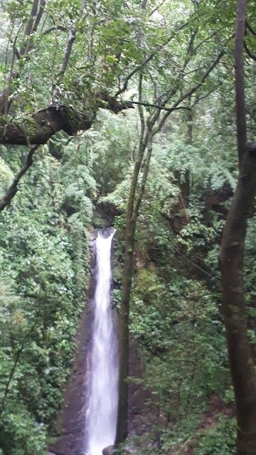 Grecia Forest Reserve