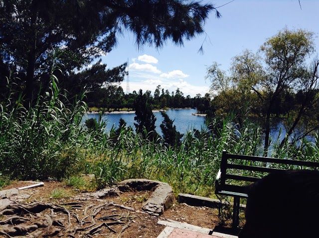 CEAR Rodolfo Landeros Gallegos