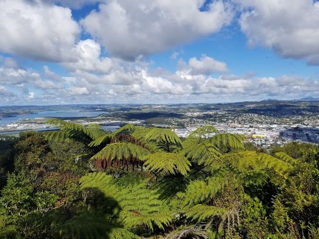 Mount Parihaka Lookout and Memorial