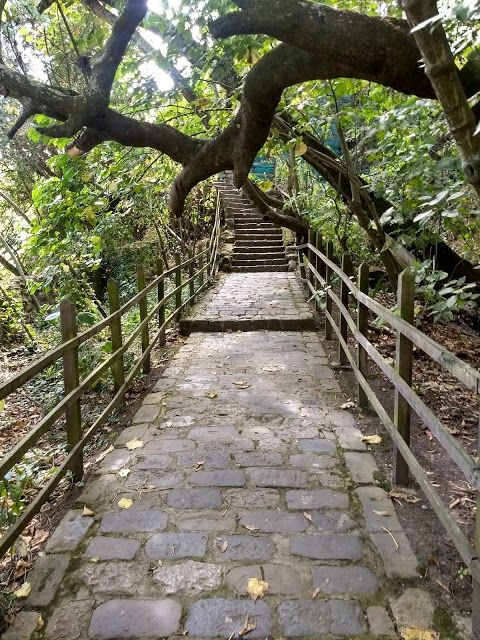 Quinta de Leon Mera Juan