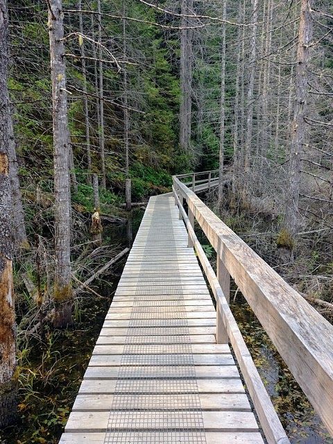 Smuggler Cove Marine Provincial Park Trail Head