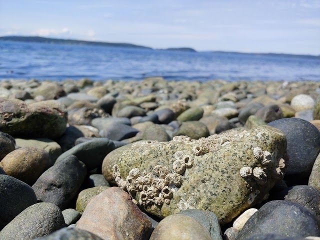 Otis Perkins Day Park