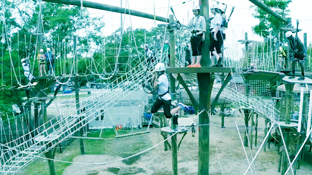 Wild Blue Ropes Adventure Park